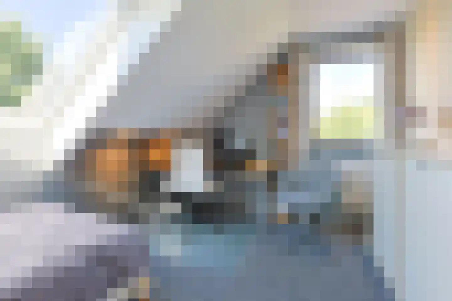 Noordeinde 86 Aarlanderveen thumbnail 44