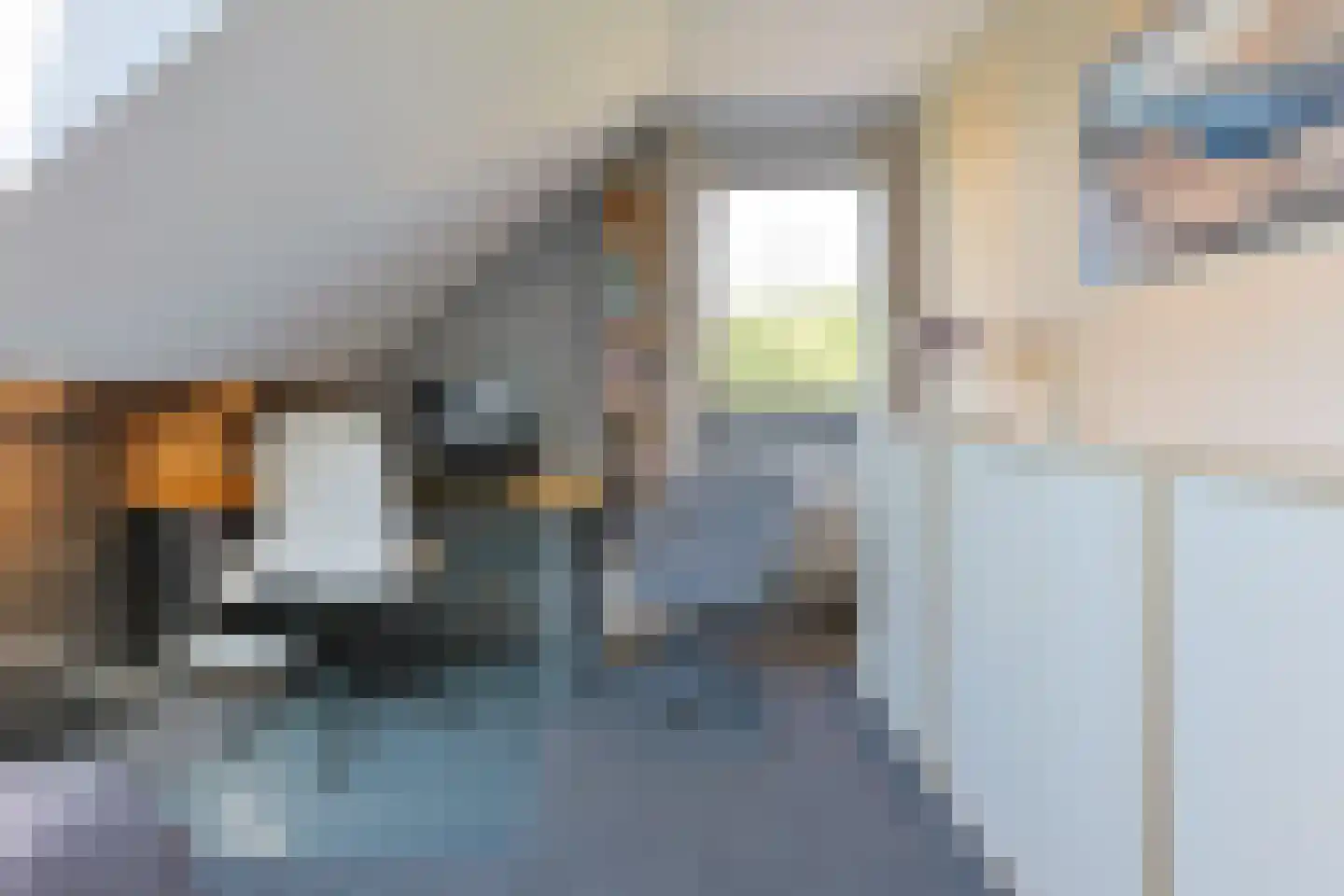 Noordeinde 86 Aarlanderveen thumbnail 45