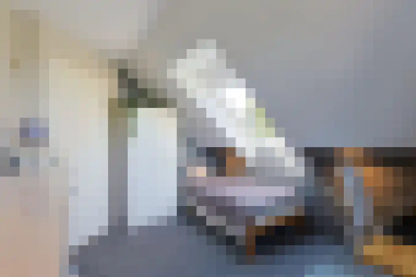 Noordeinde 86 Aarlanderveen thumbnail 46