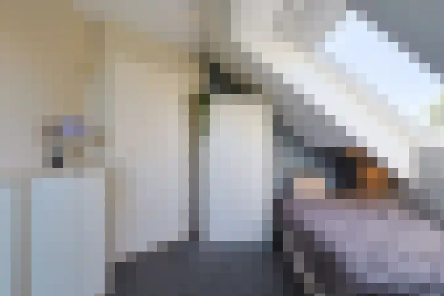 Noordeinde 86 Aarlanderveen thumbnail 48