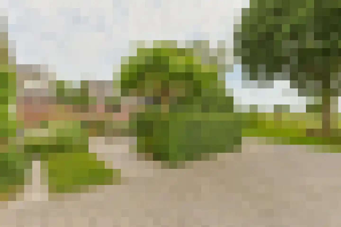 Noordeinde 86 Aarlanderveen thumbnail 67