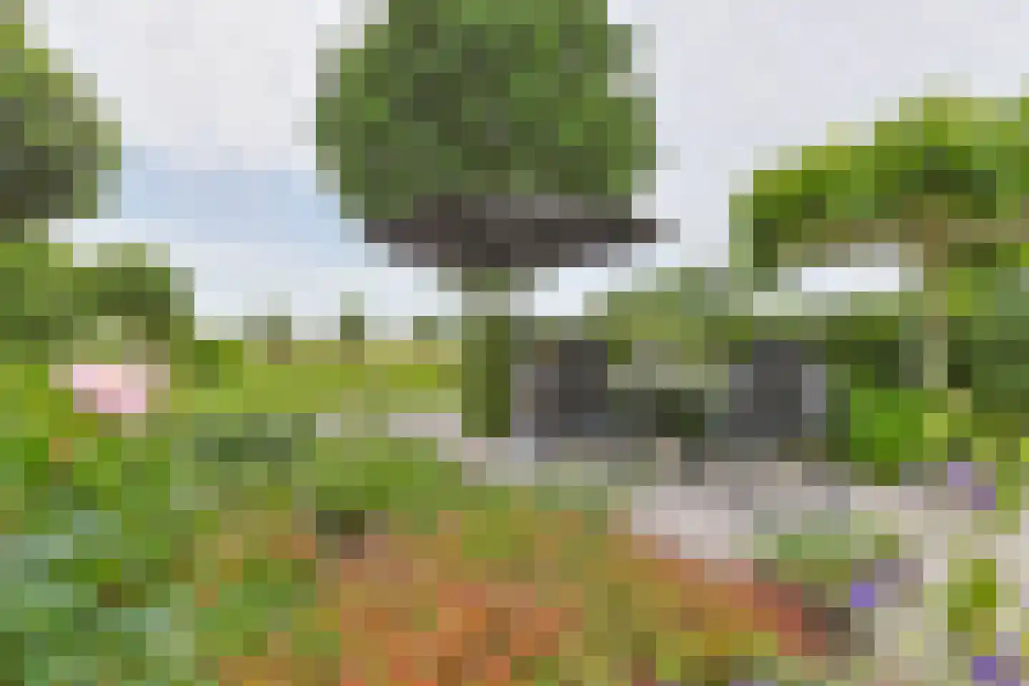 Noordeinde 86 Aarlanderveen thumbnail 68