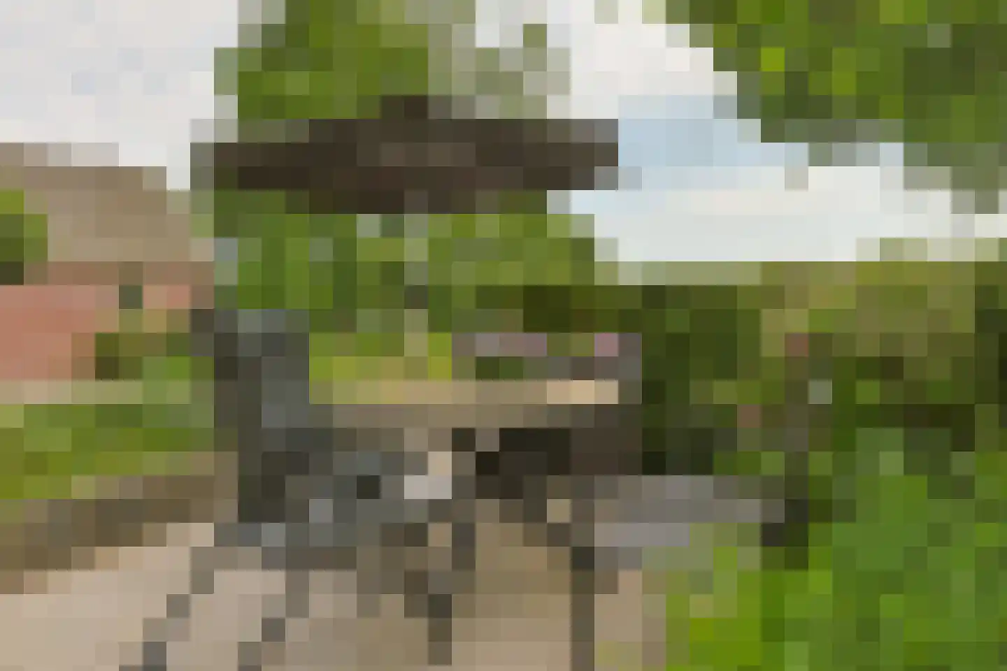 Noordeinde 86 Aarlanderveen thumbnail 69