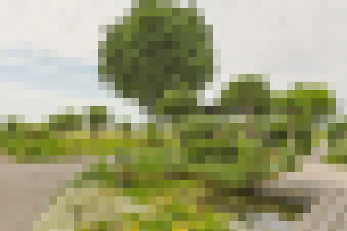 Noordeinde 86 Aarlanderveen thumbnail 71
