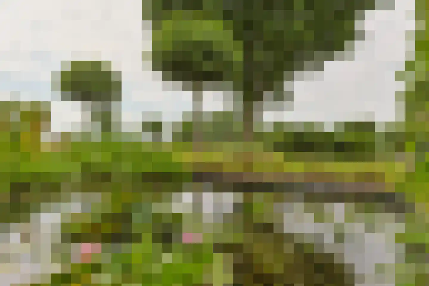 Noordeinde 86 Aarlanderveen thumbnail 72