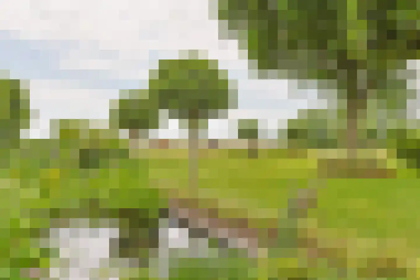 Noordeinde 86 Aarlanderveen thumbnail 73