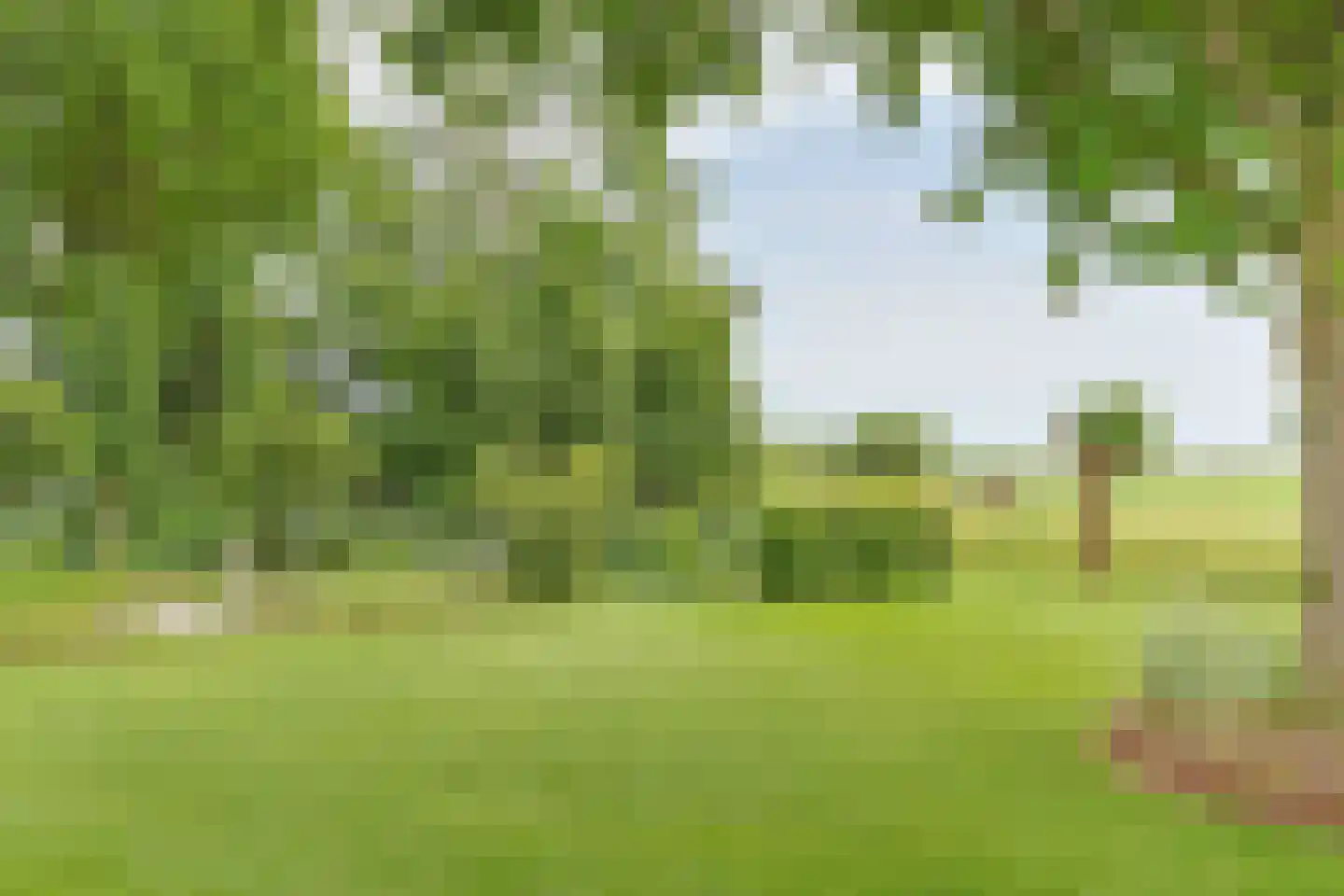 Noordeinde 86 Aarlanderveen thumbnail 74