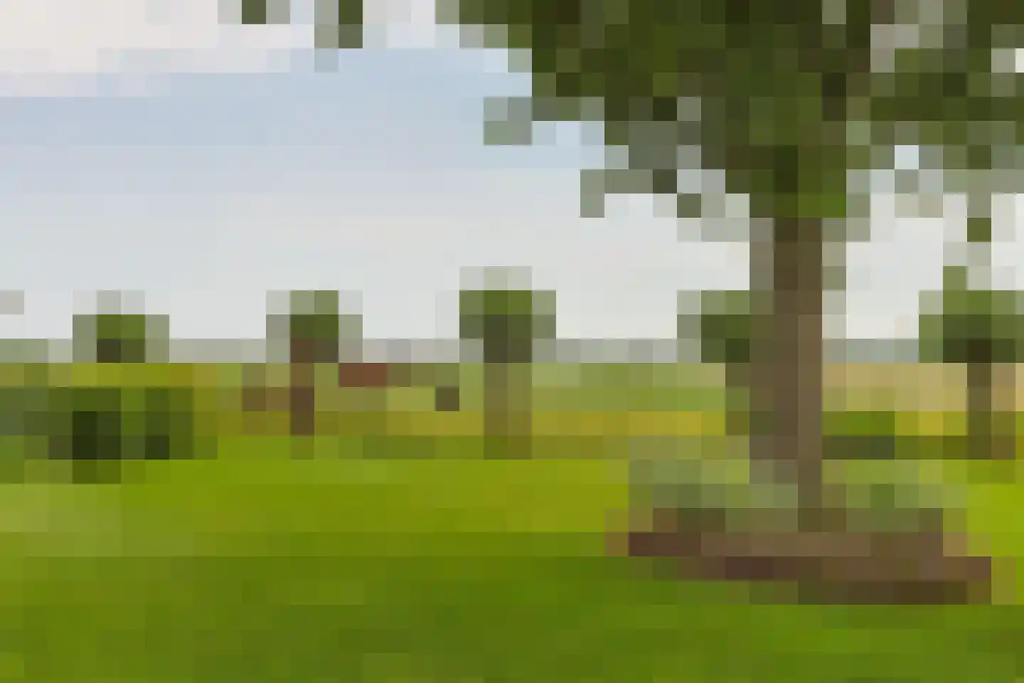 Noordeinde 86 Aarlanderveen thumbnail 75