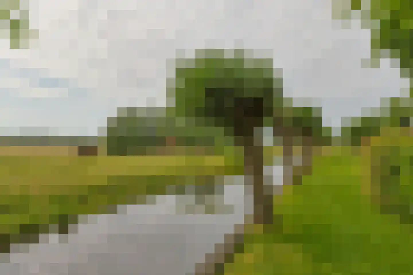 Noordeinde 86 Aarlanderveen thumbnail 76