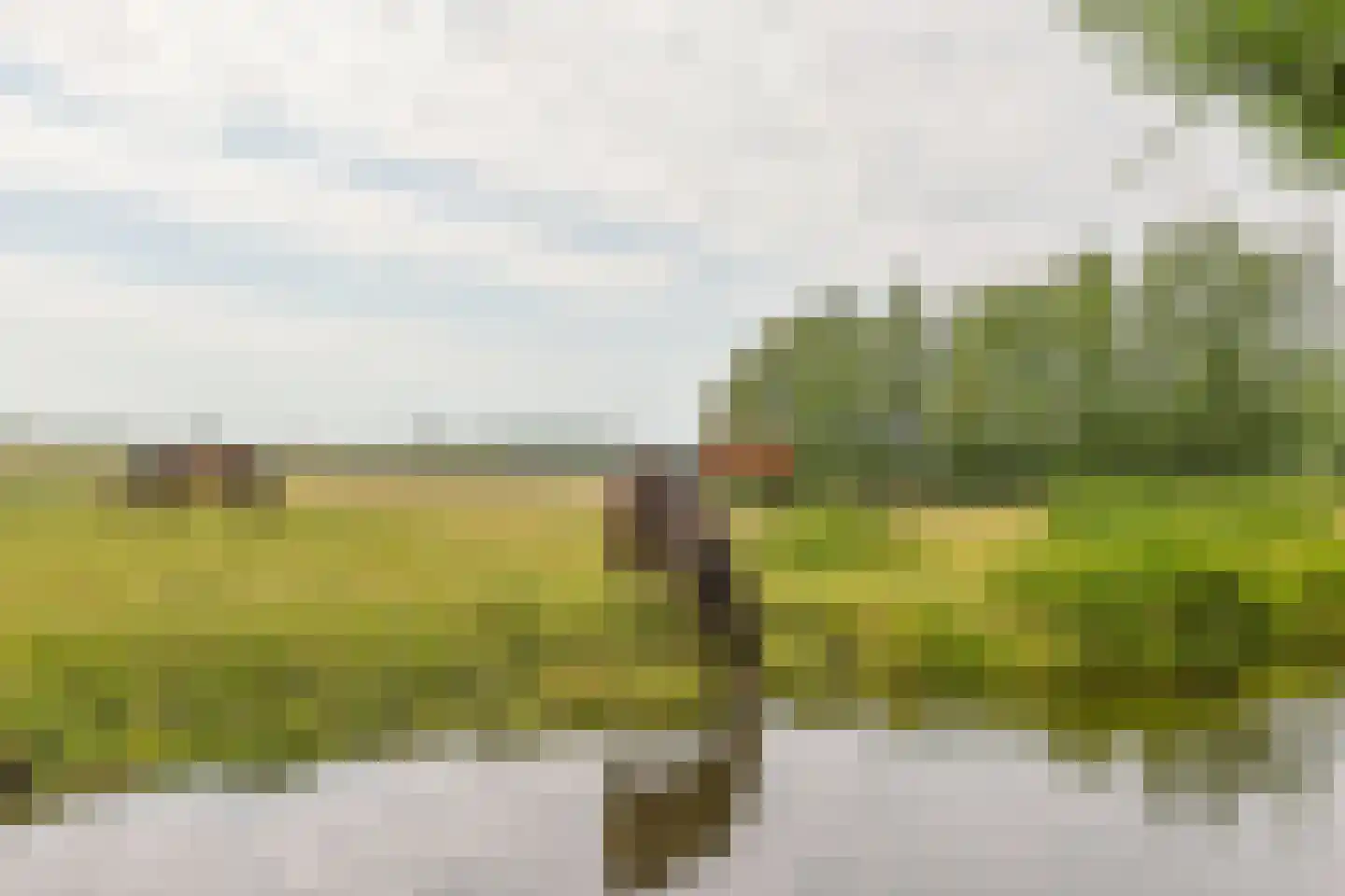 Noordeinde 86 Aarlanderveen thumbnail 77