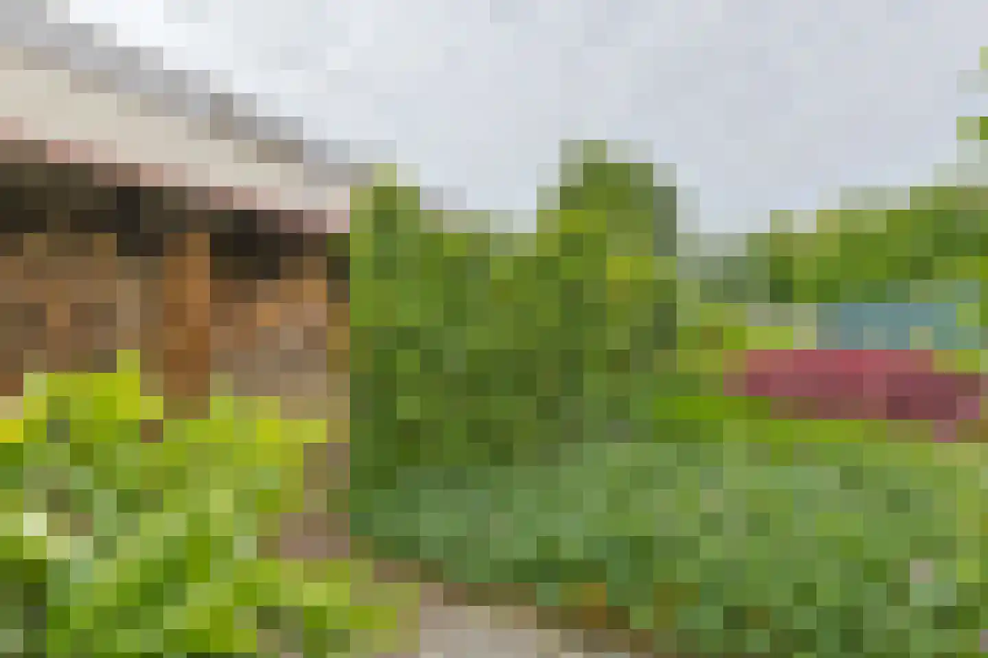 Noordeinde 86 Aarlanderveen thumbnail 83