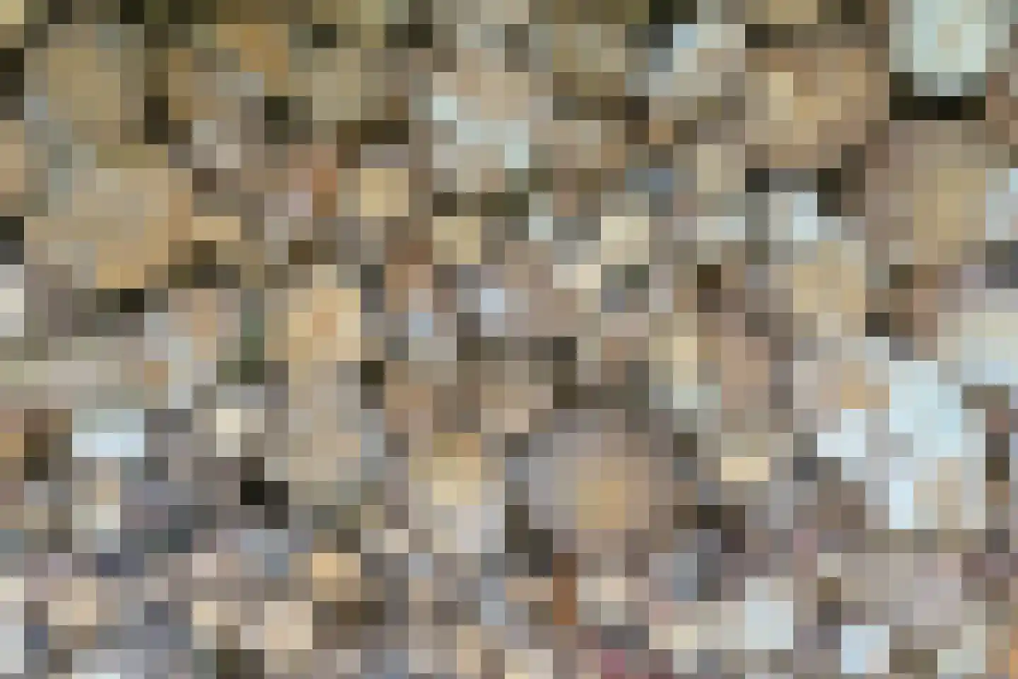 Noordeinde 86 Aarlanderveen thumbnail 84
