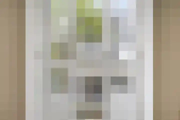 Noordeinde 87 A Den Haag thumbnail 15