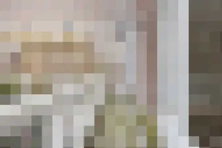 Noordeinde 87 A Den Haag thumbnail 17