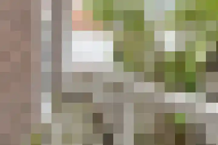 Noordeinde 87 A Den Haag thumbnail 18