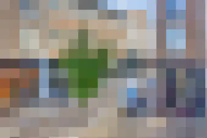 Noordeinde 87 D Den Haag thumbnail 16