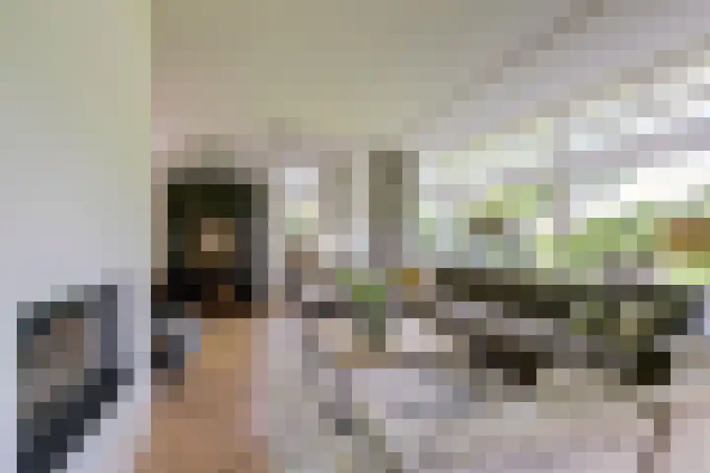 Noordeinde 87 Waddinxveen thumbnail 13
