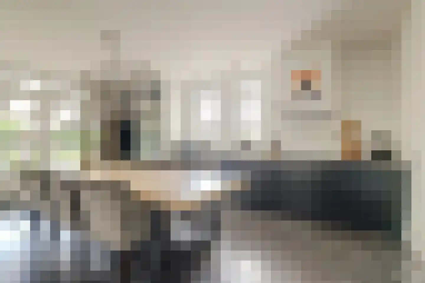 Noordeinde 87 Waddinxveen thumbnail 20