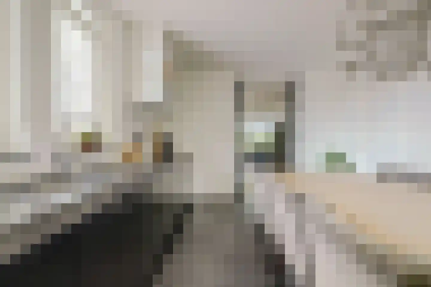 Noordeinde 87 Waddinxveen thumbnail 21