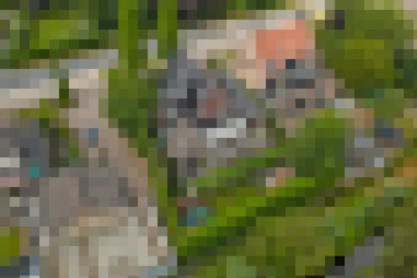 Noordeinde 87 Waddinxveen thumbnail 5