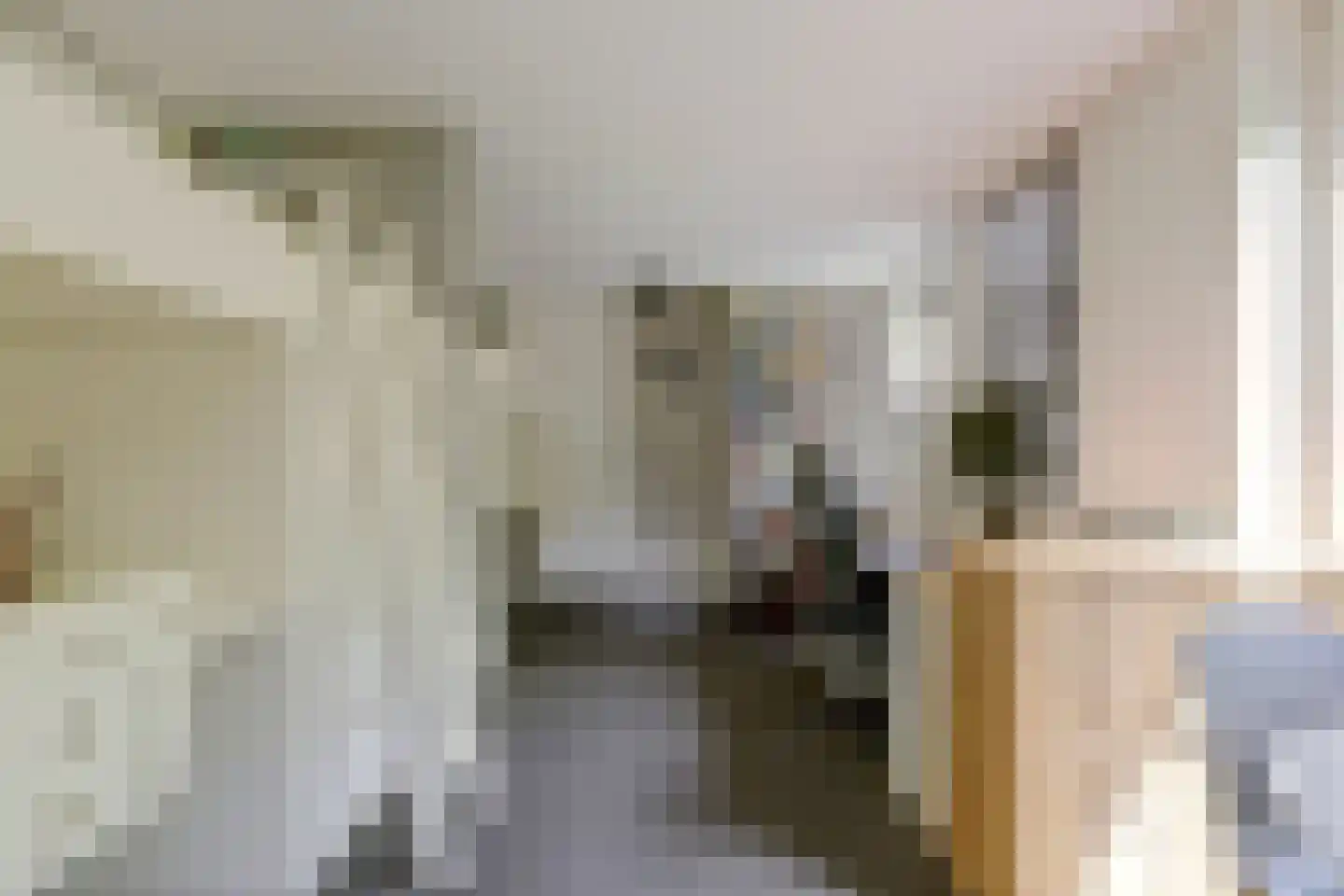 Noordeinde 87 Waddinxveen thumbnail 51