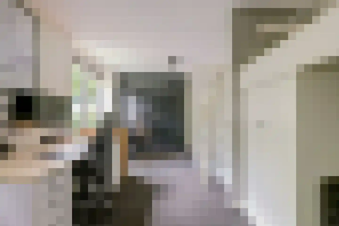 Noordeinde 87 Waddinxveen thumbnail 52