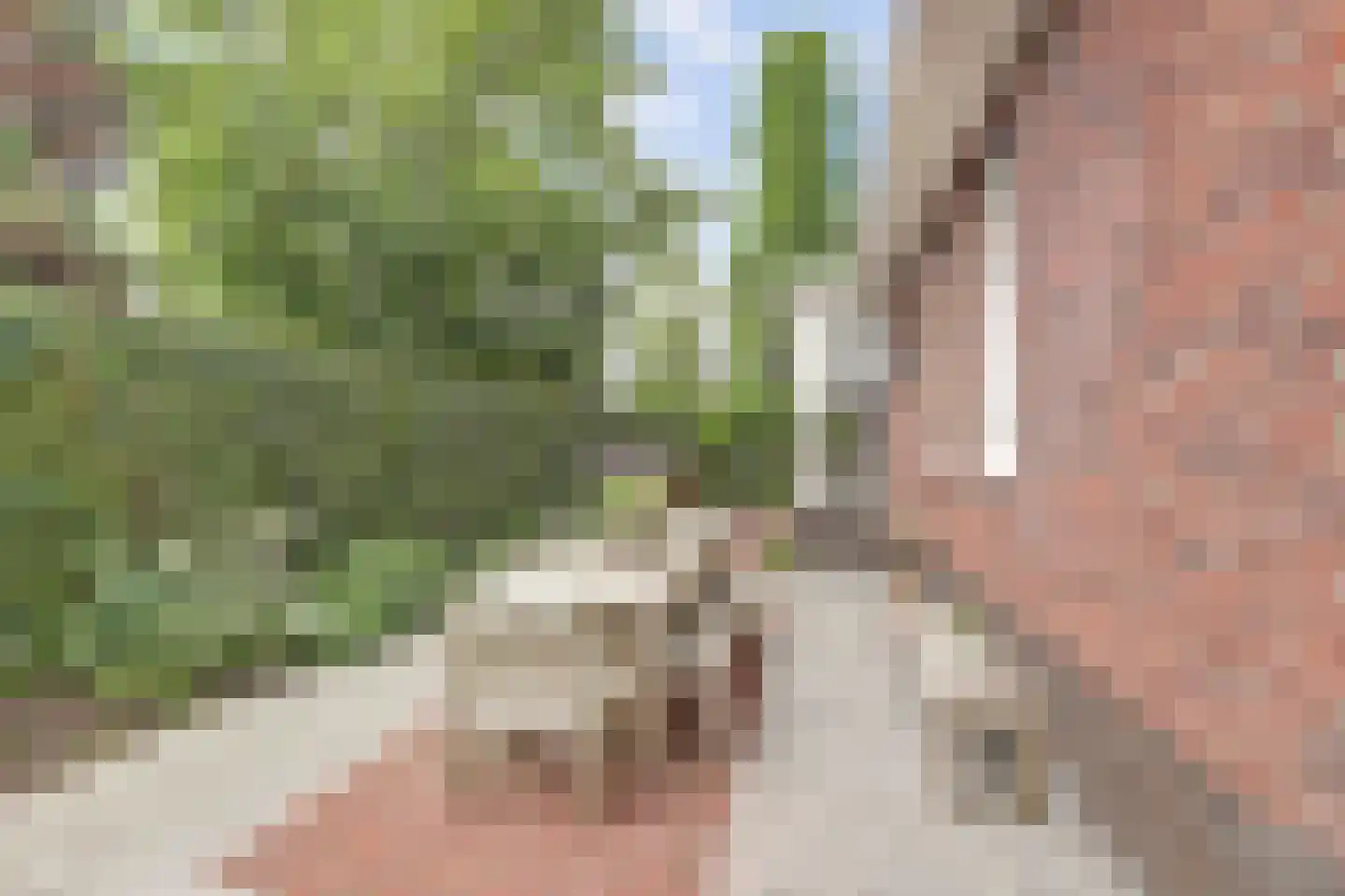 Noordeinde 87 Waddinxveen thumbnail 64
