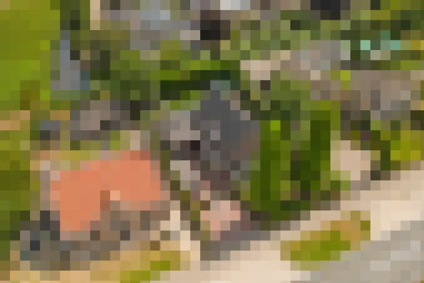 Noordeinde 87 Waddinxveen thumbnail 76