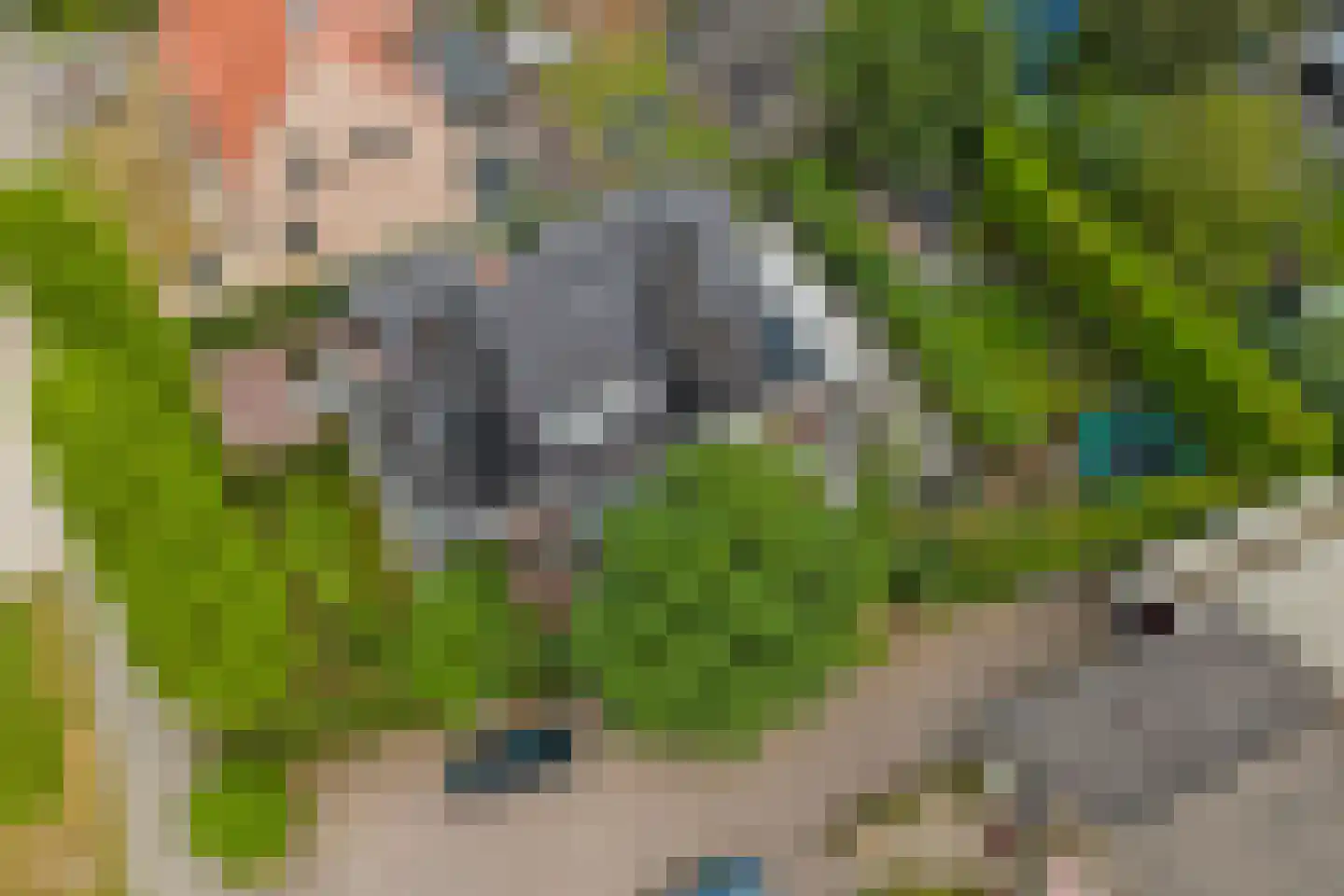 Noordeinde 87 Waddinxveen thumbnail 77