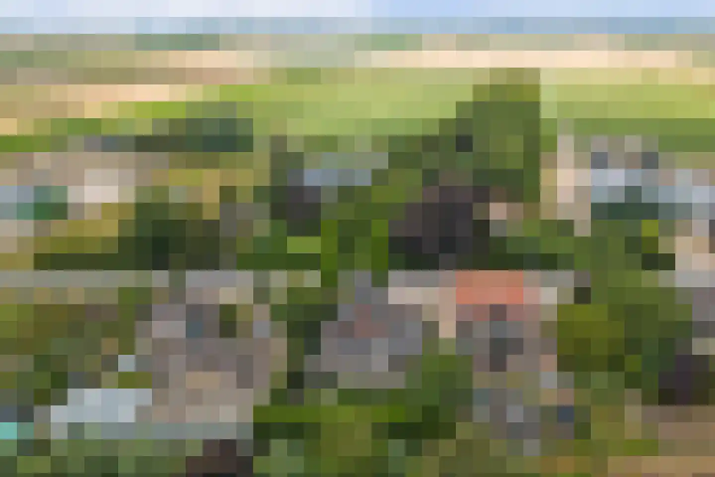 Noordeinde 87 Waddinxveen thumbnail 79