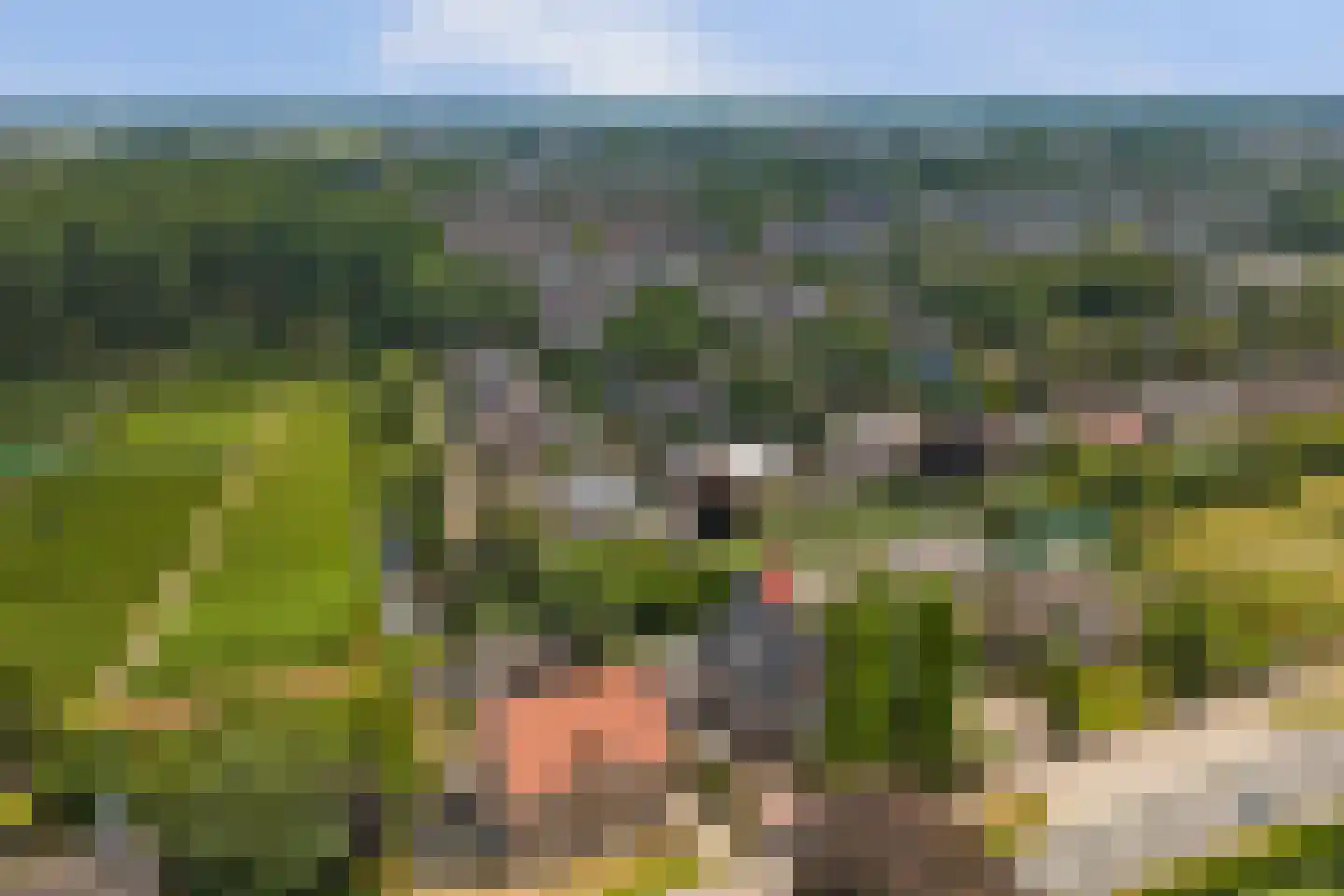 Noordeinde 87 Waddinxveen thumbnail 81