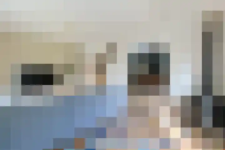 Noordeinde 88 Aarlanderveen thumbnail 13