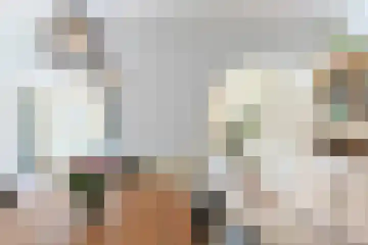 Noordeinde 88 Aarlanderveen thumbnail 14