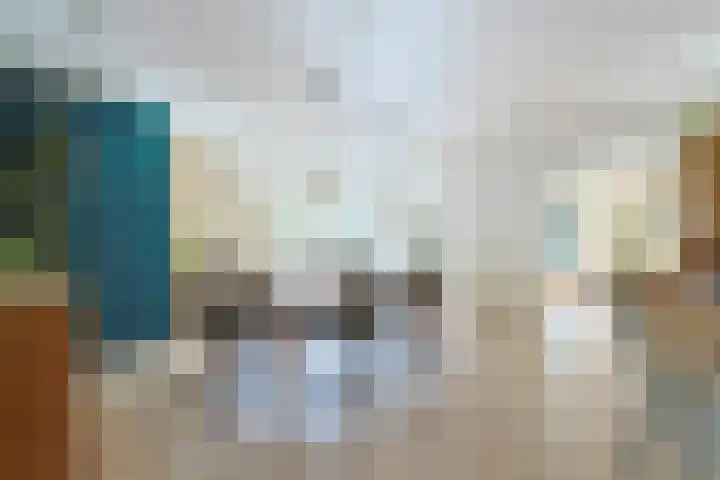 Noordeinde 88 Aarlanderveen thumbnail 15