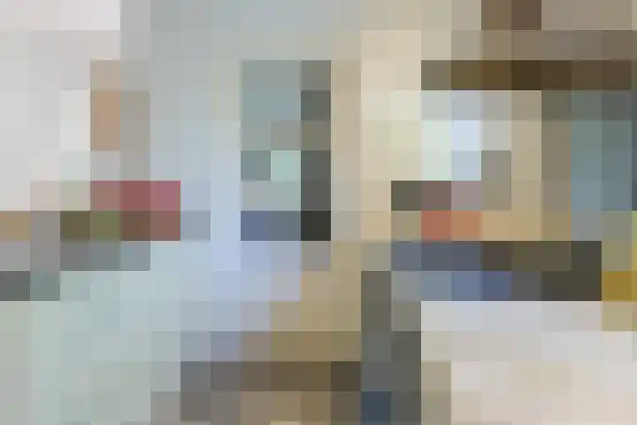 Noordeinde 88 Aarlanderveen thumbnail 21