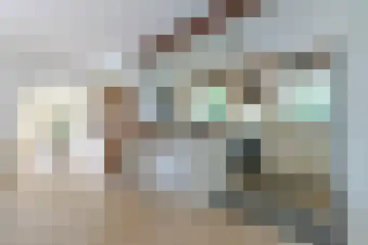 Noordeinde 88 Aarlanderveen thumbnail 22