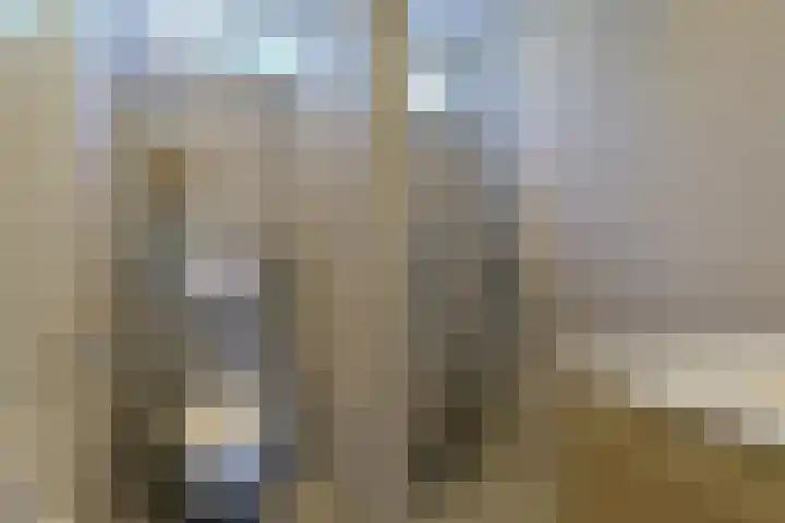 Noordeinde 88 Aarlanderveen thumbnail 25