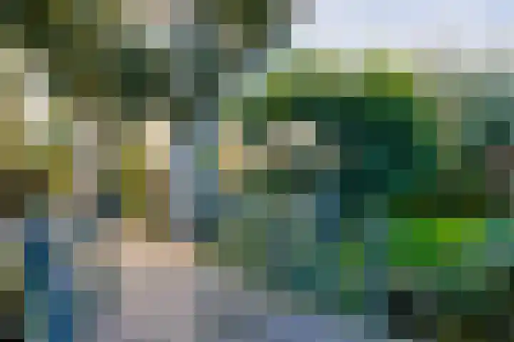 Noordeinde 88 Aarlanderveen thumbnail 4
