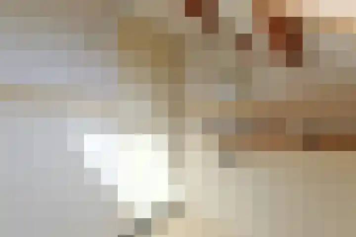 Noordeinde 88 Aarlanderveen thumbnail 44