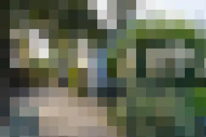 Noordeinde 88 Aarlanderveen thumbnail 5