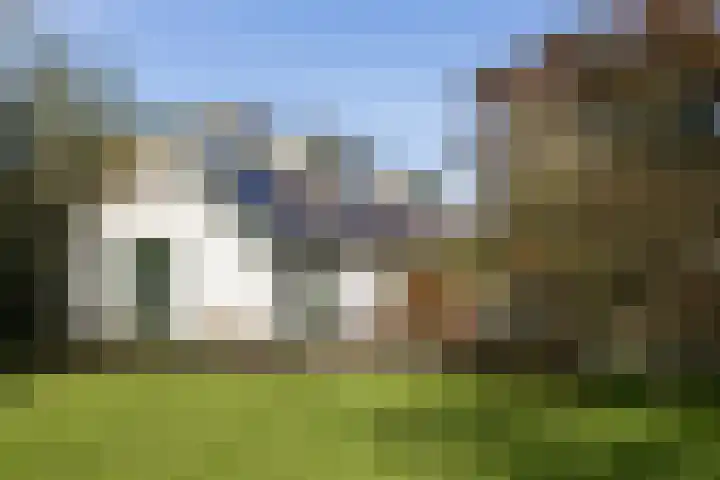Noordeinde 88 Aarlanderveen thumbnail 53