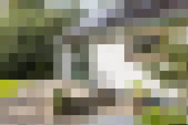 Noordeinde 88 Aarlanderveen thumbnail 54