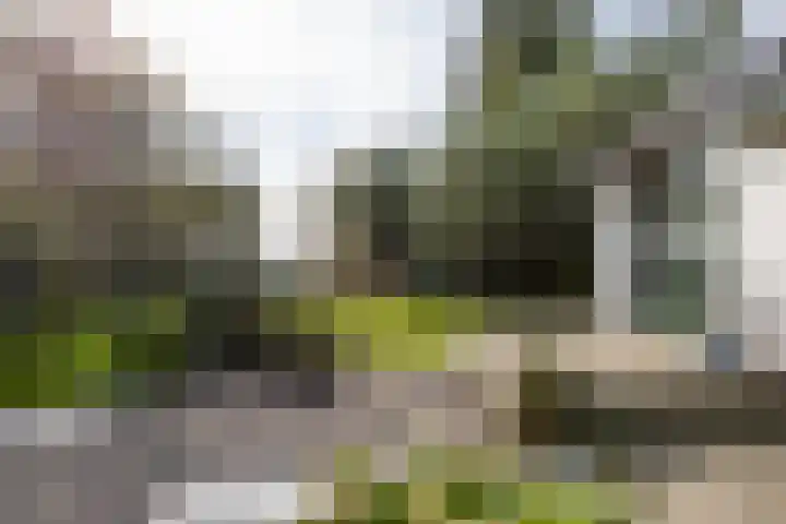 Noordeinde 88 Aarlanderveen thumbnail 55