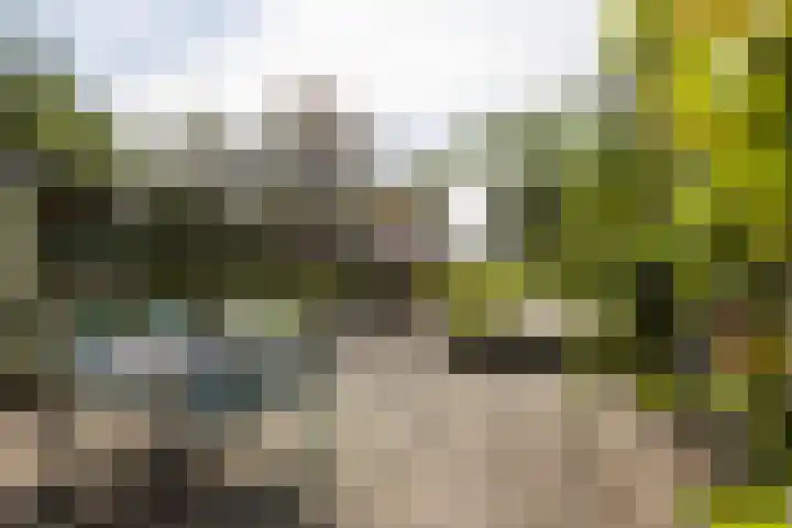 Noordeinde 88 Aarlanderveen thumbnail 56