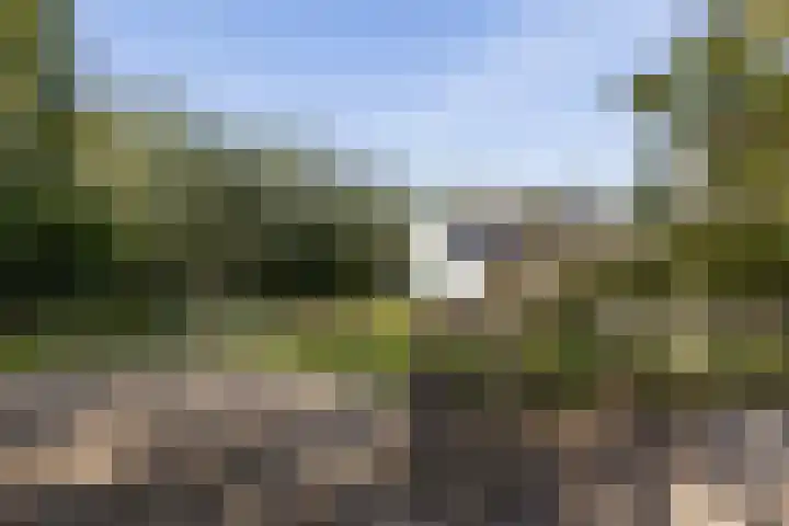 Noordeinde 88 Aarlanderveen thumbnail 57