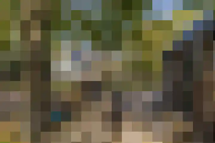 Noordeinde 88 Aarlanderveen thumbnail 58