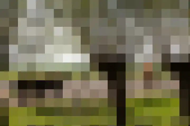 Noordeinde 88 Aarlanderveen thumbnail 59