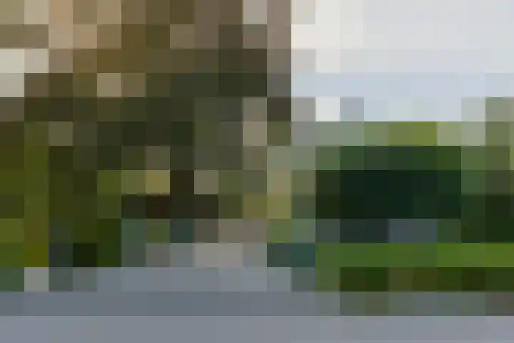 Noordeinde 88 Aarlanderveen thumbnail 6