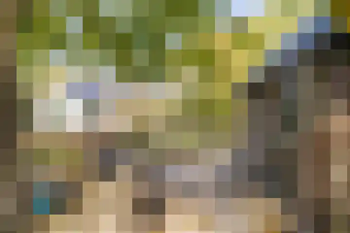 Noordeinde 88 Aarlanderveen thumbnail 60