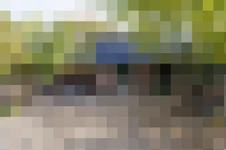 Noordeinde 88 Aarlanderveen thumbnail 61